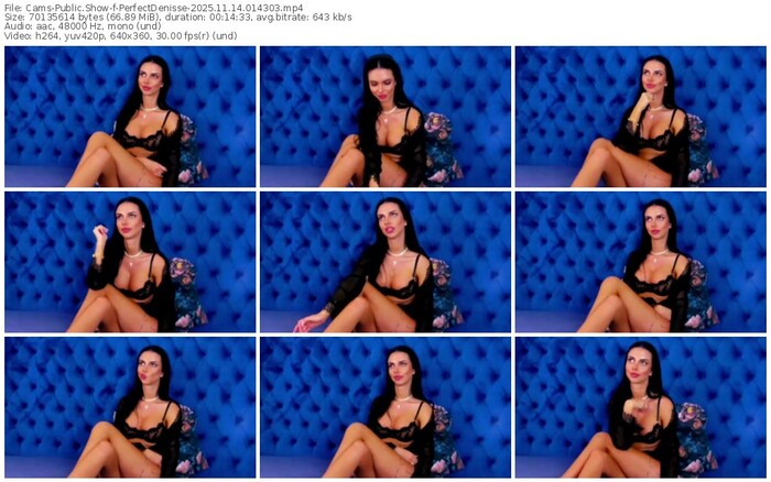 cams-perfectdenisse-11-14-2025-01-43-03
