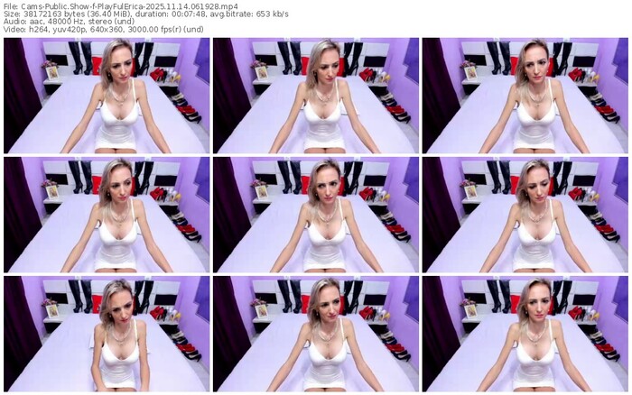 cams-playfulerica-11-14-2025-06-19-28