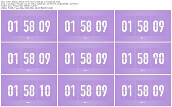 cams-ff_mur-11-14-2025-00-18-18