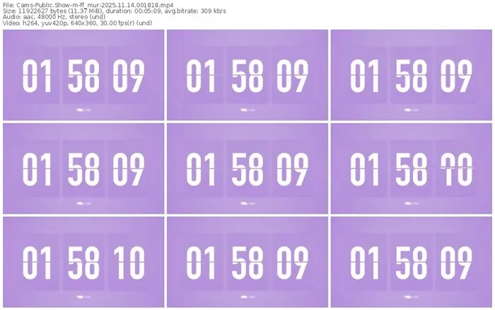 cams-ff_mur-11-14-2025-00-18-18