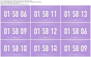 cams-ff_mur-11-14-2025-00-30-02