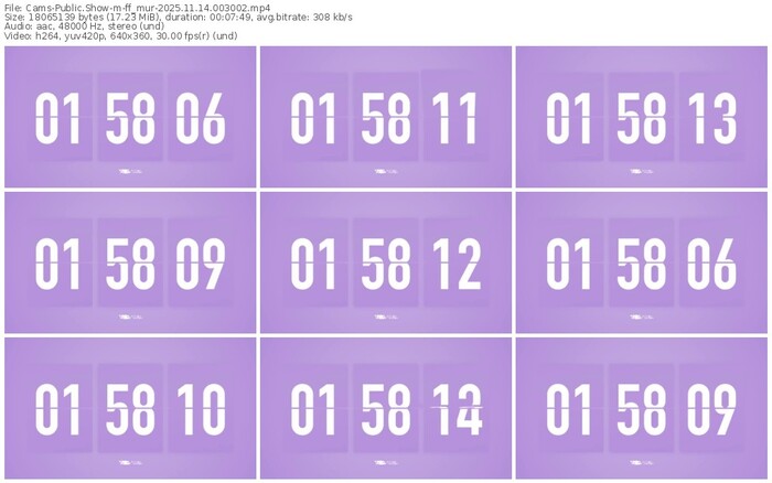 cams-ff_mur-11-14-2025-00-30-02
