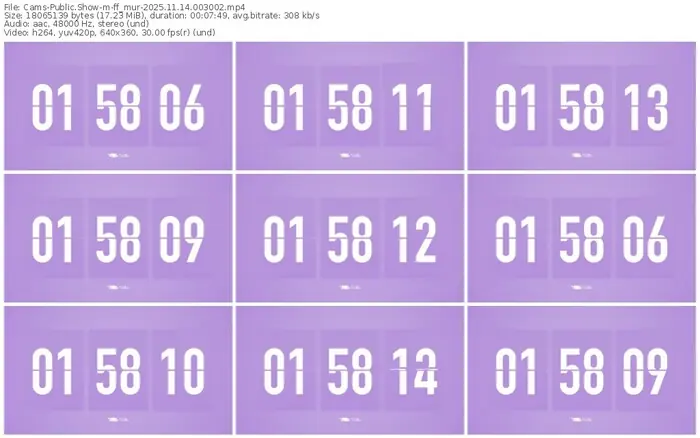 cams-ff_mur-11-14-2025-00-30-02