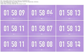 cams-ff_mur-11-14-2025-00-44-40