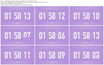 cams-ff_mur-11-14-2025-01-21-57