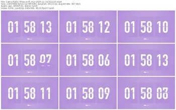 cams-ff_mur-11-14-2025-01-21-57