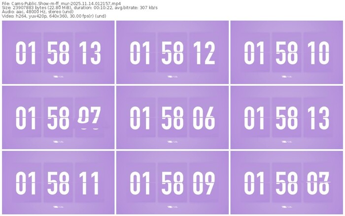 cams-ff_mur-11-14-2025-01-21-57