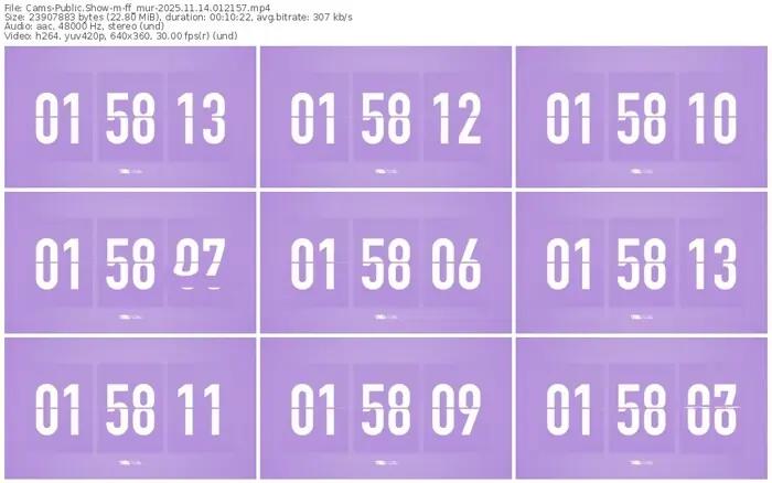 cams-ff_mur-11-14-2025-01-21-57