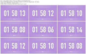 cams-ff_mur-11-14-2025-01-33-05