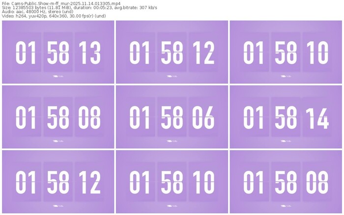 cams-ff_mur-11-14-2025-01-33-05