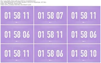 cams-ff_mur-11-14-2025-02-04-12