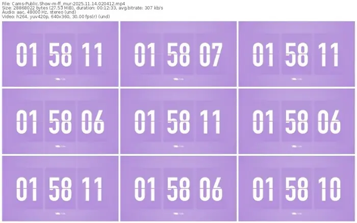 cams-ff_mur-11-14-2025-02-04-12