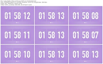 cams-ff_mur-11-14-2025-02-16-43