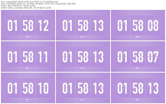 cams-ff_mur-11-14-2025-02-16-43