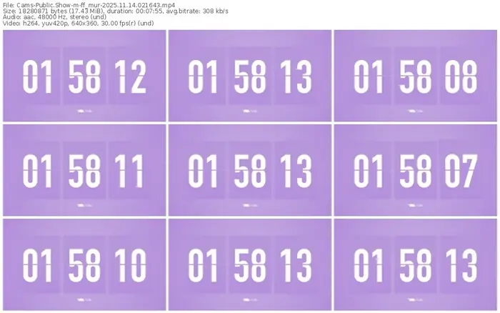 cams-ff_mur-11-14-2025-02-16-43