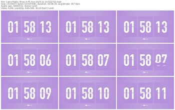 cams-ff_mur-11-14-2025-02-27-02