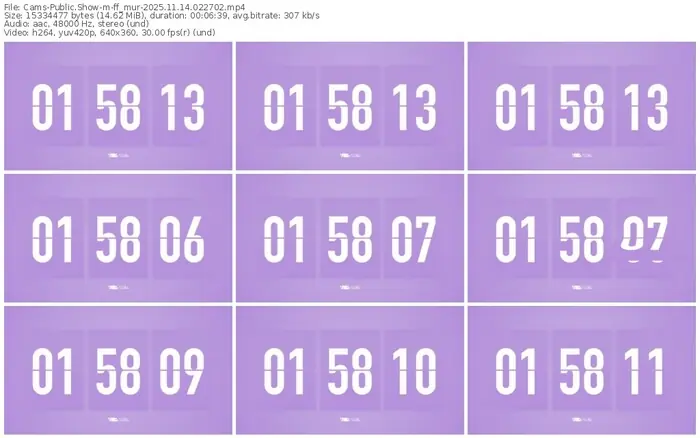 cams-ff_mur-11-14-2025-02-27-02