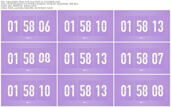 cams-ff_mur-11-14-2025-02-38-31