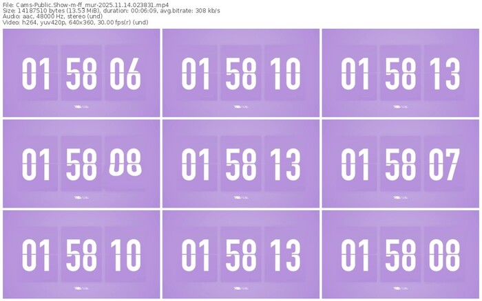 cams-ff_mur-11-14-2025-02-38-31