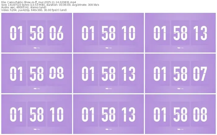 cams-ff_mur-11-14-2025-02-38-31