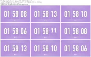 cams-ff_mur-11-14-2025-02-47-10