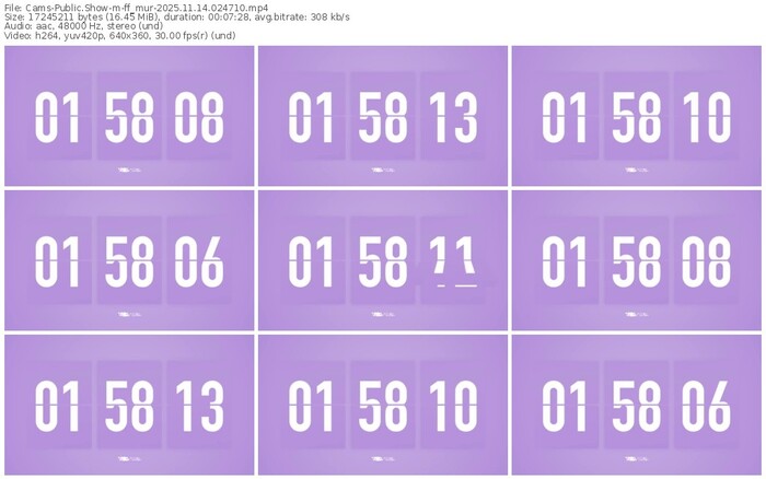 cams-ff_mur-11-14-2025-02-47-10