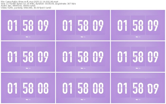 cams-ff_mur-11-14-2025-03-11-40