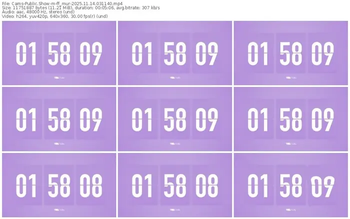 cams-ff_mur-11-14-2025-03-11-40