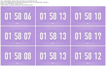 cams-ff_mur-11-14-2025-03-21-37