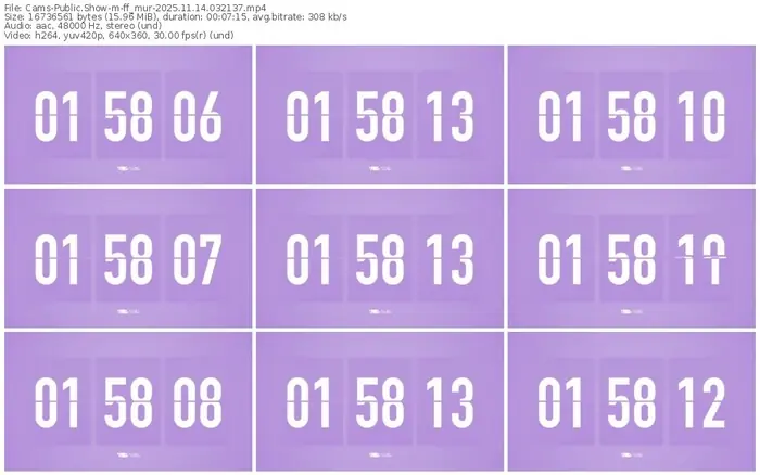 cams-ff_mur-11-14-2025-03-21-37