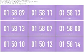 cams-ff_mur-11-14-2025-03-40-20