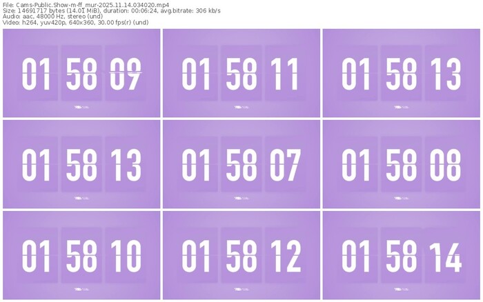 cams-ff_mur-11-14-2025-03-40-20