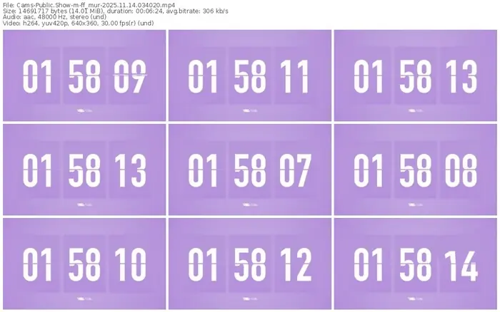 cams-ff_mur-11-14-2025-03-40-20