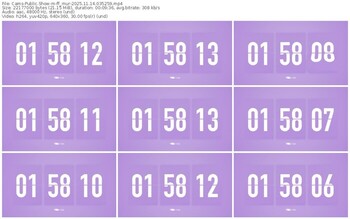 cams-ff_mur-11-14-2025-03-52-59