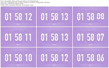 cams-ff_mur-11-14-2025-03-52-59