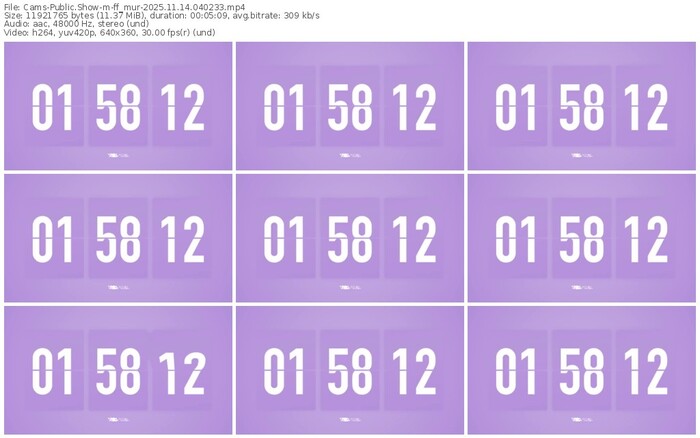 cams-ff_mur-11-14-2025-04-02-33