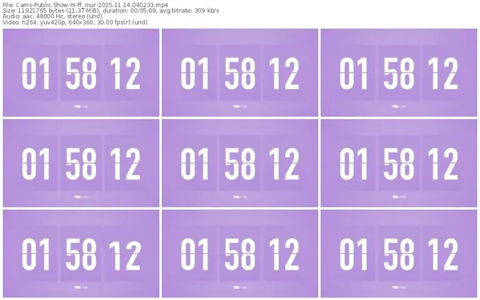 cams-ff_mur-11-14-2025-04-02-33