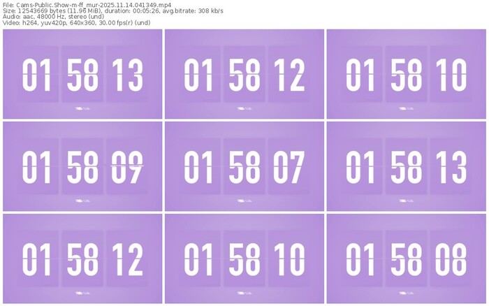 cams-ff_mur-11-14-2025-04-13-49