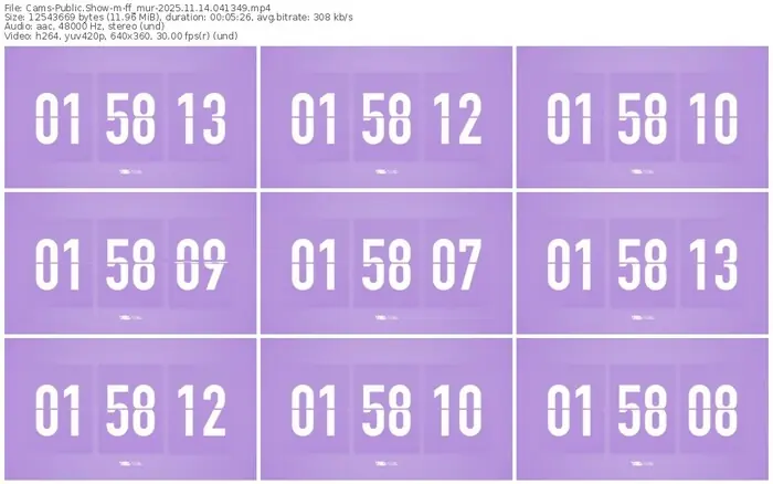 cams-ff_mur-11-14-2025-04-13-49