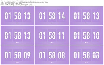 cams-ff_mur-11-14-2025-04-19-48