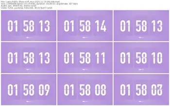 cams-ff_mur-11-14-2025-04-19-48