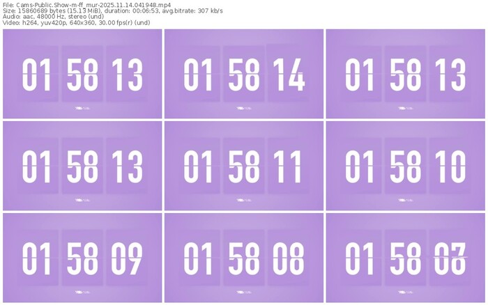 cams-ff_mur-11-14-2025-04-19-48