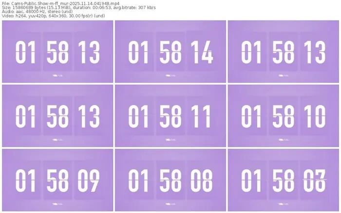 cams-ff_mur-11-14-2025-04-19-48