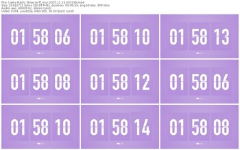 cams-ff_mur-11-14-2025-04-33-39