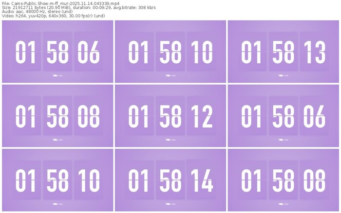 cams-ff_mur-11-14-2025-04-33-39