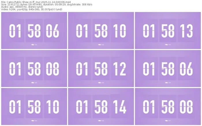 cams-ff_mur-11-14-2025-04-33-39