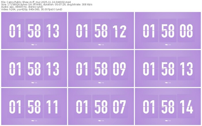 cams-ff_mur-11-14-2025-04-49-32
