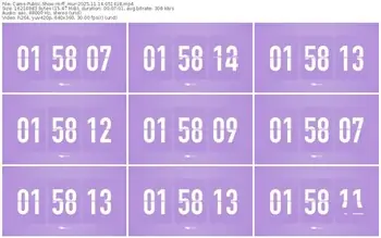 cams-ff_mur-11-14-2025-05-14-18