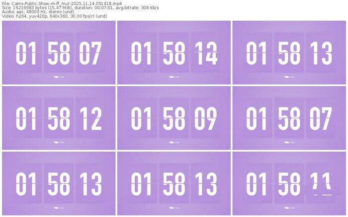 cams-ff_mur-11-14-2025-05-14-18