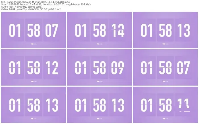 cams-ff_mur-11-14-2025-05-14-18